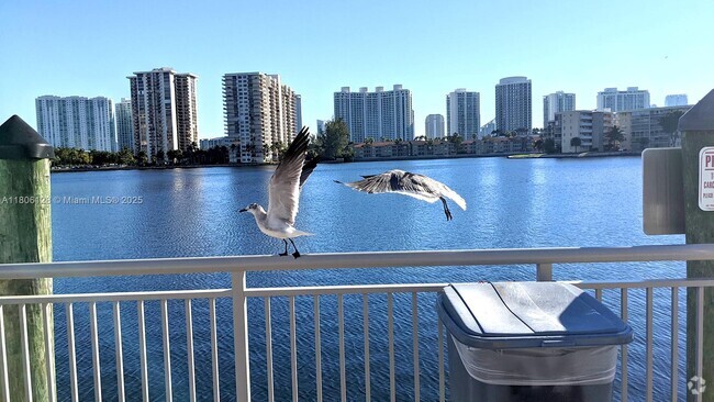 Building Photo - 18011 Biscayne Blvd Unit 803 Rental