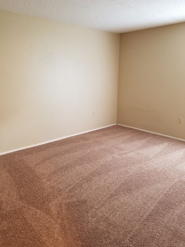 Photo - CONDO NEAR USF! Unit 101