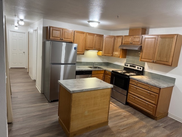 ALL NEW Kitchen with stainless steel appliances! - 127 100th St S Apartments Unit Lower