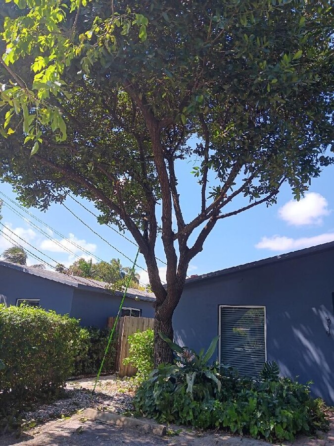 Photo - 921 Orange Is