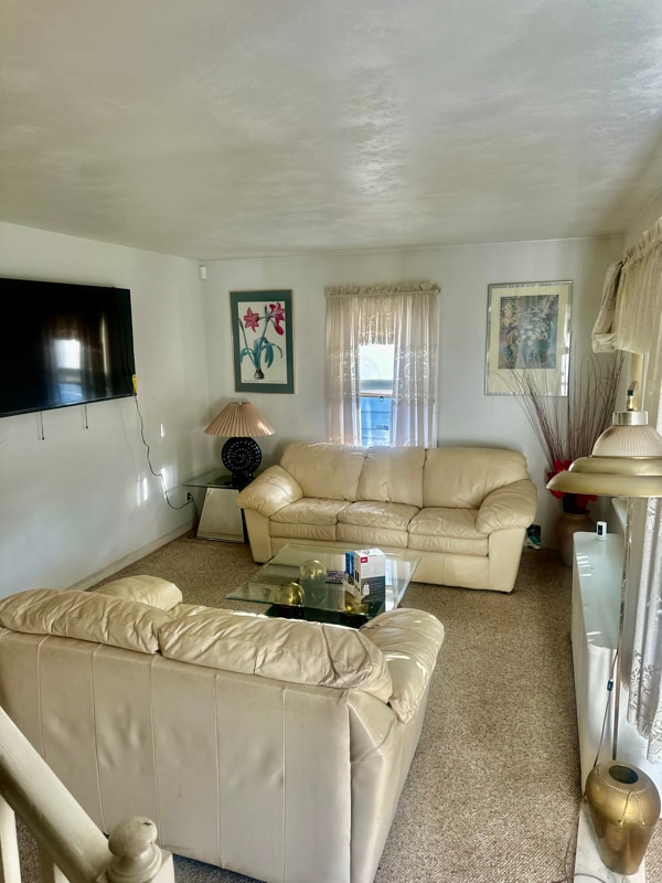 Photo - 151 Warner St