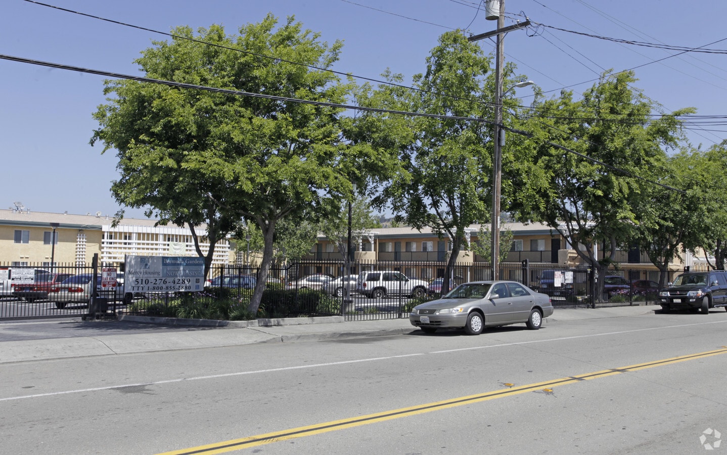 Photo - The Manzanita