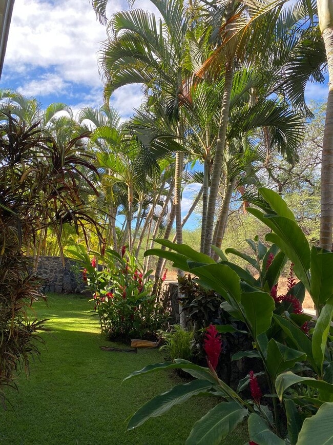 Photo - Tropical oasis