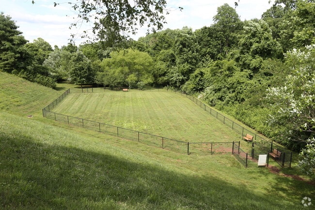 Bark Park