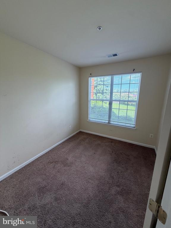 Photo - 14224 Hampshire Hall Ct