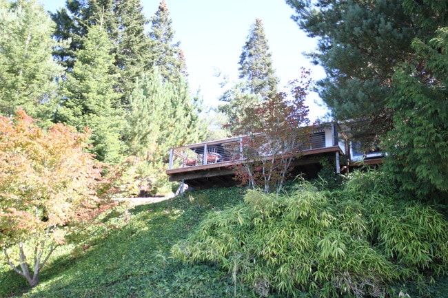 Photo - 10027 SW 262nd Pl