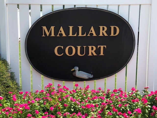 Mallard Court Apartments Greenwood SC ForRent com Mallard Court Apartments Greenwood SC ForRent com
