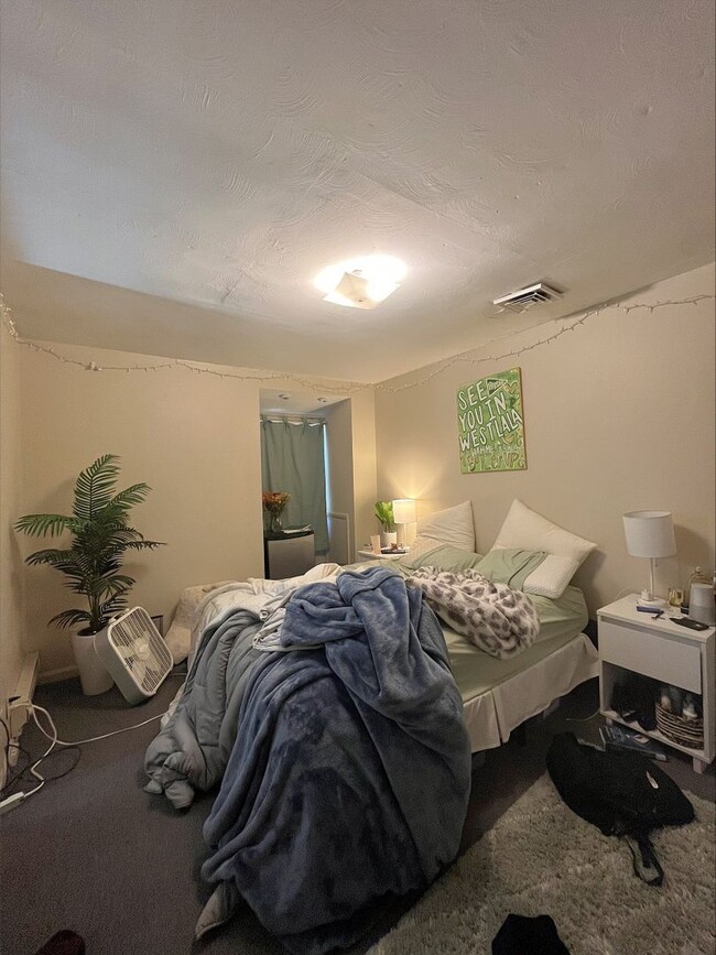 Photo - 8 Person House Blocks From Chauncey Village and Campus Bars!!