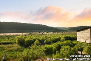 Photo - 797 Glendale Rd