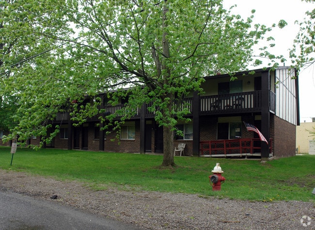 Photo - Violet Trace