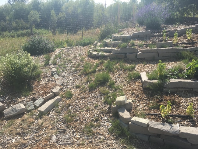 Photo - 1305 S Church Ave Unidad Southeast Main Floor