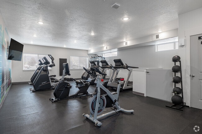 Gimnasio 1