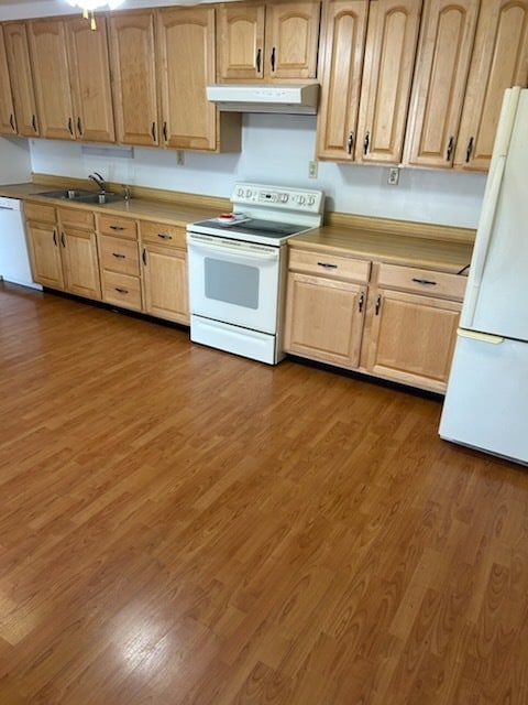 Photo - 3381 Colonial Dr Unidad Apt 1 Rear