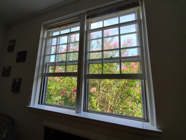 Crepe myrtles in bloom! - West Ender Apartments