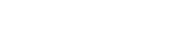 Hopkins Group LLC