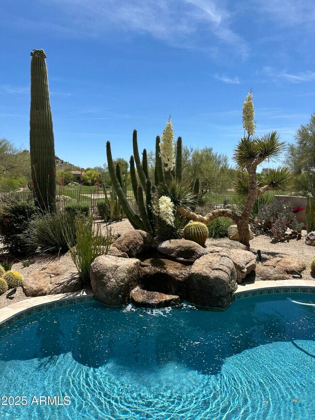 Photo - 7485 E Tumbleweed Dr