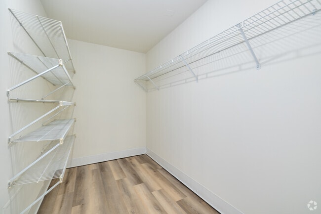 1BR, 1BA - 720SF - Primary Closet
