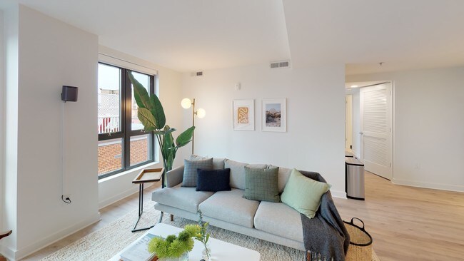 Photo - Common Clifton