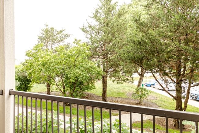 1BR, 1BA - View