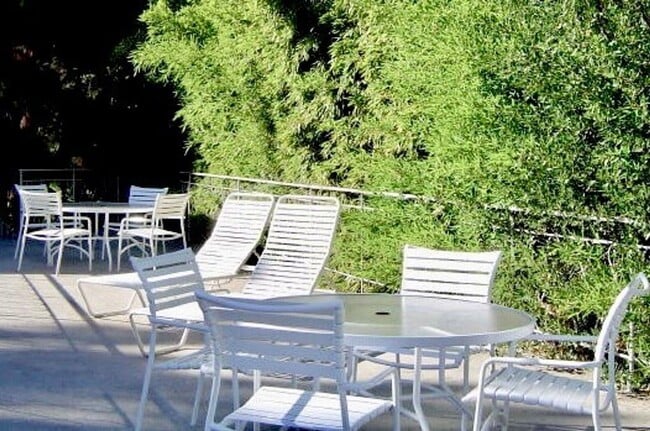 Photo - The Pines Apartments