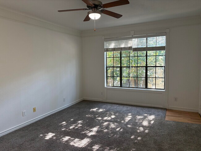 Living room view of trees in apartment complex - 2700 Revere St Unit 112