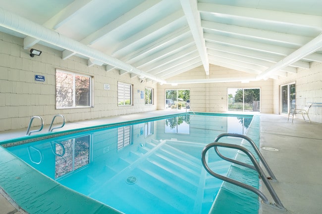 Piscina climatizada todo el año - Rose Villa Apartments