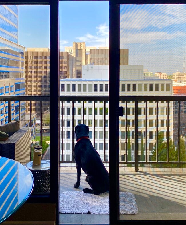 Photo - 500 N St Unit 1508