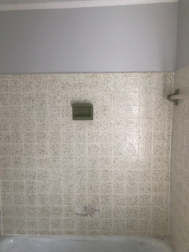 Retro Ceramic tile bathroom - 1010 Cass St