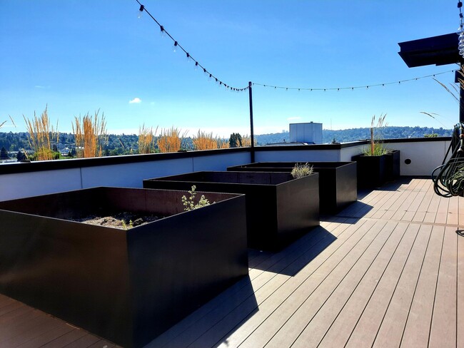 Photo - Vitality on 63rd