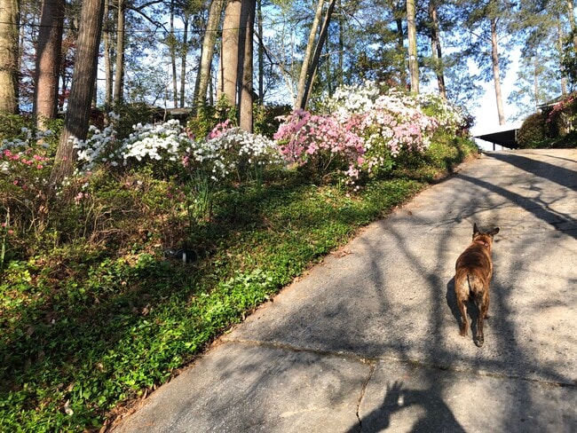 Photo - 796 Wesley Dr NW