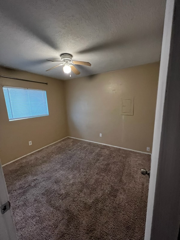 Photo - 337 Gorman Ave