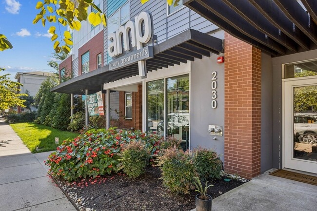 Building Photo - AMP Luxury Apartments