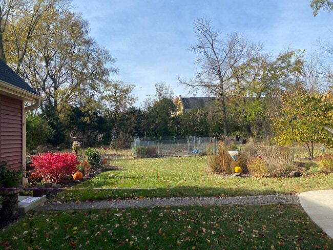 back yard - 227 S Water St Unit 227 S. Water Street