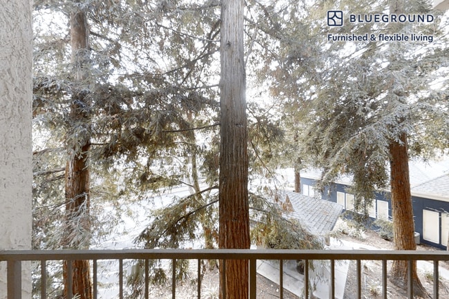 Photo - 121 Roble Rd Unit FL1-ID10287A