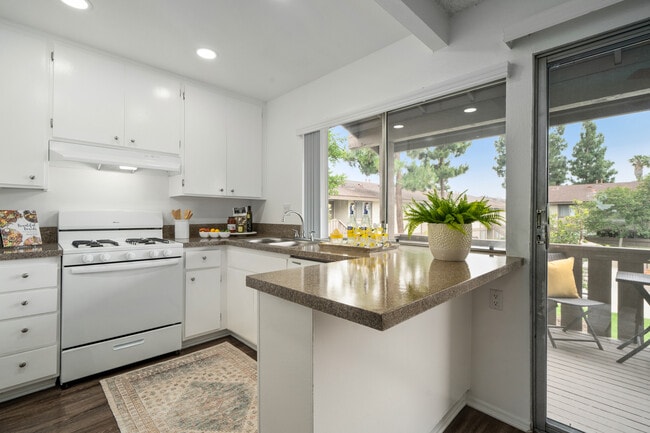 Photo - The Villager