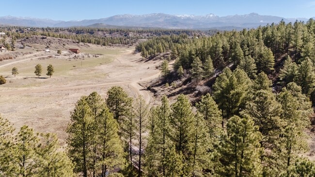 Photo - 337A Brookhill Dr