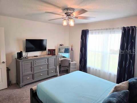 Photo - 1241 Denali Dr