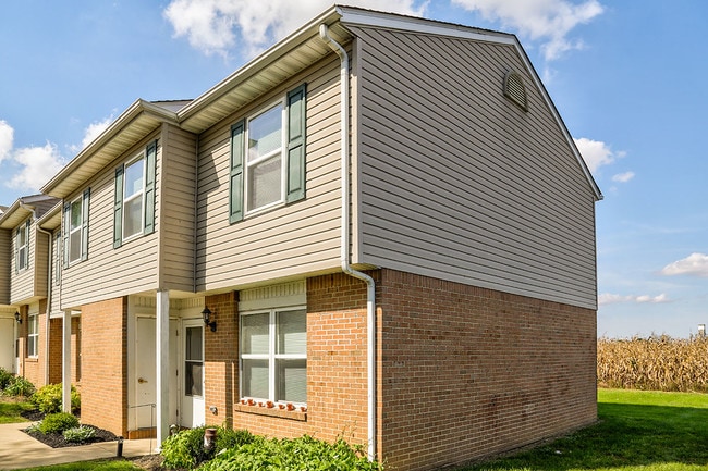 Photo - Grace Meadows