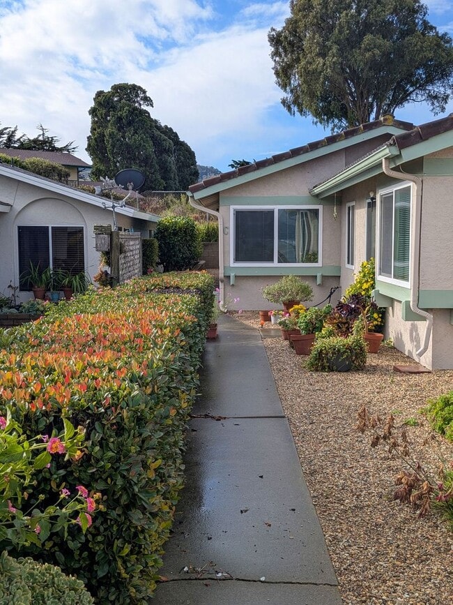 Photo - 249 Butte Dr Unit C