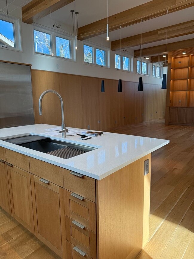 Photo - Silver Maple Stunning