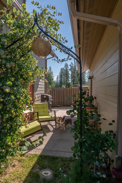 Photo - 123 Trestle View Ct