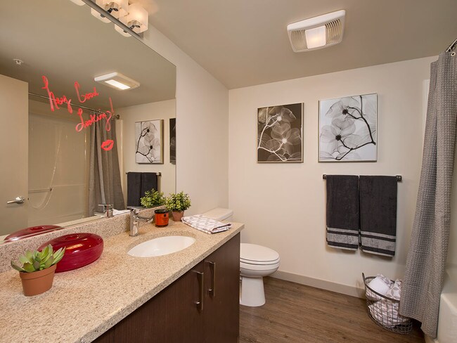 Large vanities