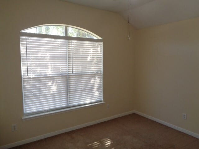 Photo - 30034 Saw Oaks Dr