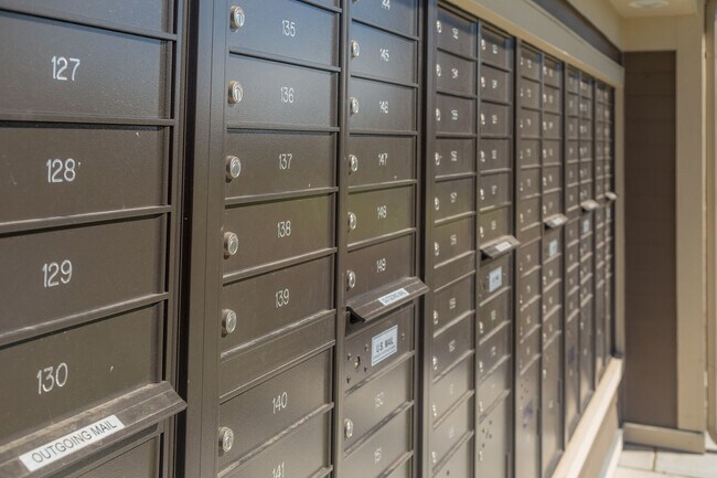 Photo - Paddock at Norwood