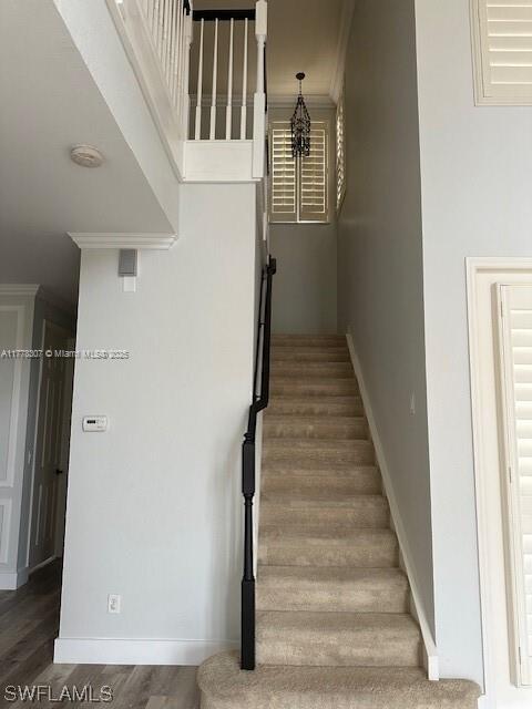Photo - 10313 Longleaf Pine Ct