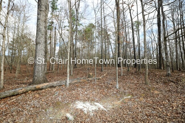 Photo - Adorable Home in Cook Springs
