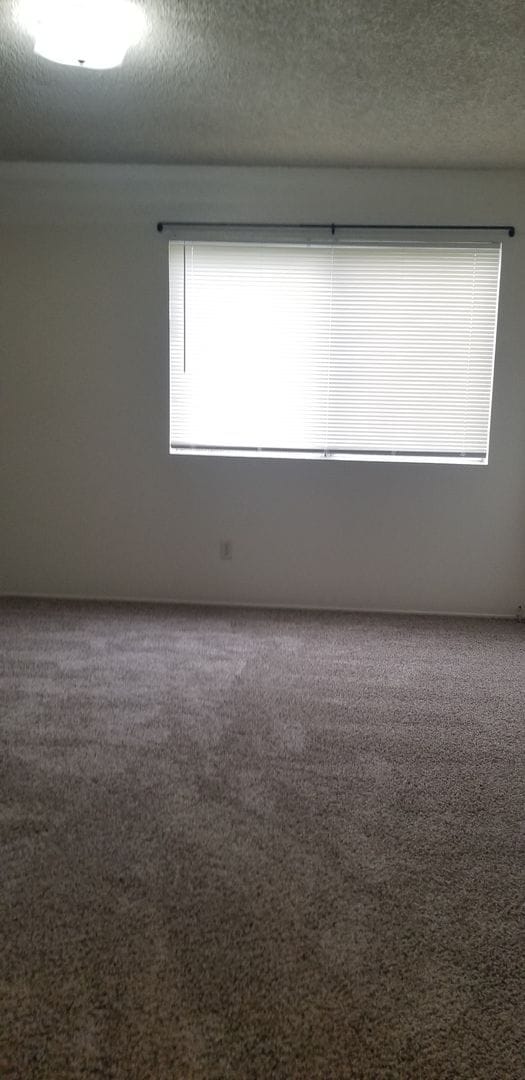 Photo - Ming Ave 1. Unidad A