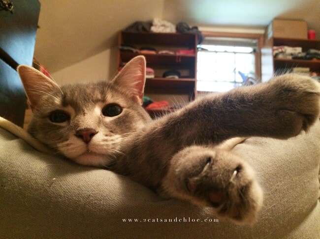 Photo - 2715 Ferndale Ave Unidad 1