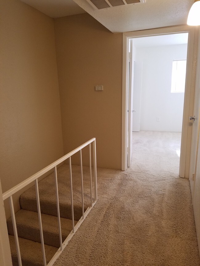 Cedar Bluff Apartments For Rent in Pasadena, TX
