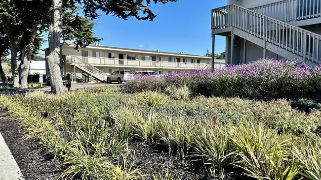 Marina Crescent